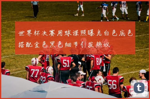 世界杯决赛用球谍照曝光白色底色搭配金色黑色细节引发热议