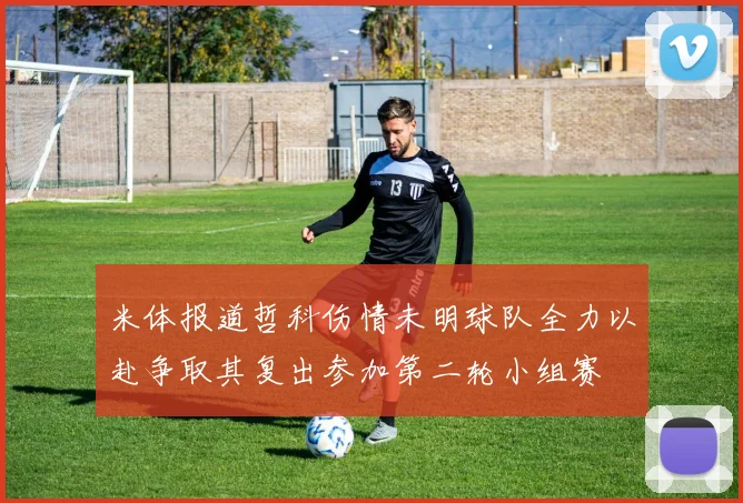 米体报道哲科伤情未明球队全力以赴争取其复出参加第二轮小组赛