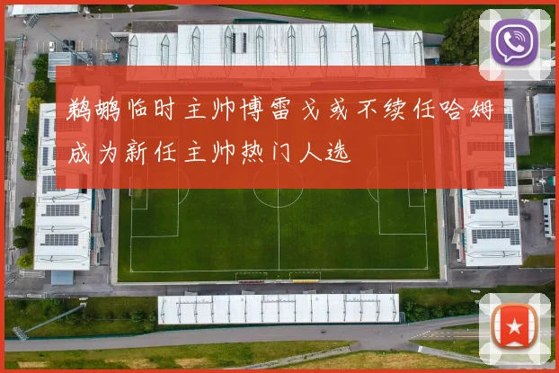 鹈鹕临时主帅博雷戈或不续任哈姆成为新任主帅热门人选